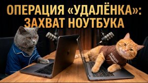 🤣 Подкаст котов #13 | Зачем человеку ноутбук?