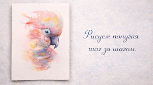 Рисуем попугая акварелью в свободном стиле | Расслабляющий процесс