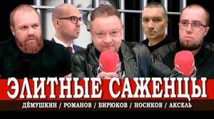 Посадки или прополка, или Как работает борьба с коррупцией | Аксель | Дёмушкин | Носиков | Романов