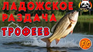 ДИКАЯ РАЗДАЧА ТРОФЕЕВ на ЛАДОЖСКОМ ОЗЕРЕ. Русская рыбалка 4. рр4. Russian Fishing 4