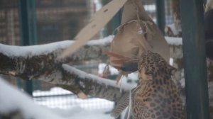 Видео от Телеканал "Русский Север" | Великий Устюг