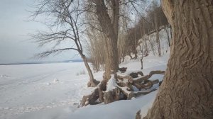 Влог / 07.03.2026 / Покупки, прогулка, выпечка, настолка