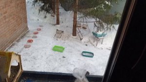 утро с директором