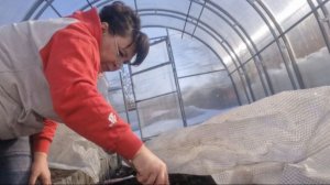 Начались работы в теплице. Посеяла море цветов. Мои будни в деревне.