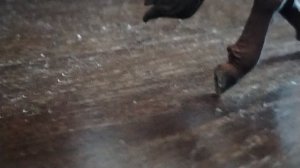 Лошади шляйх играют в правда или действия