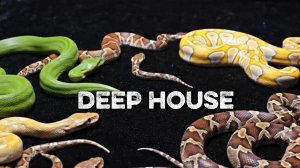 Музыка в Машину 2026 🚘 | Deep House Микс | музыка для фона