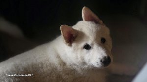 Забар рад дому