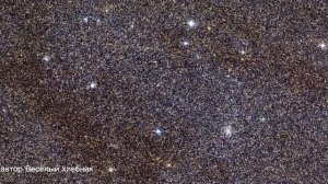 Ждала (автор Весёлый хлебник)