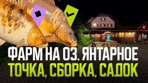 Фарм на Янтарном в пониженную температуру воды ● Русская рыбалка 4 ● Перчик РР4