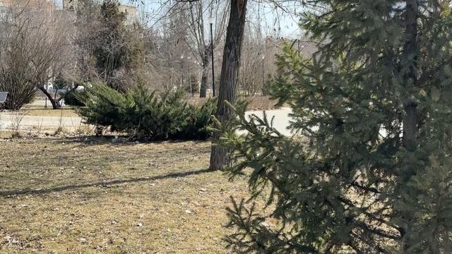 Волгоградская область активно развивает систему подготовки социальных работников смотреть онлайн