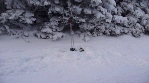 Поворот не туда