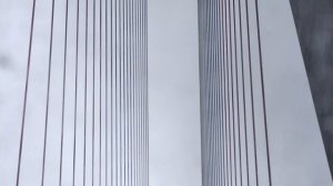 Вайб Владика