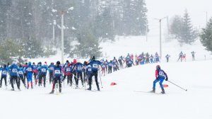 Соревнования по лыжным гонкам 2026