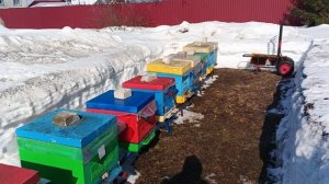 11.03.26. Загудели!!!