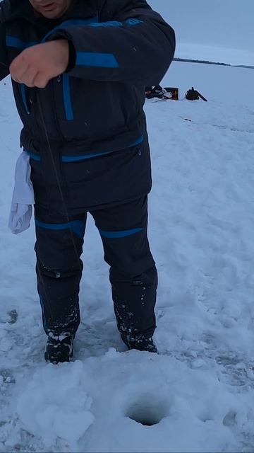 Корюшка на дамбе