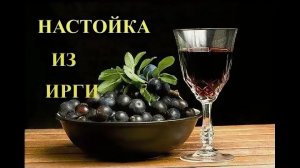 НАСТОЙКА ИЗ ИРГИ ЧУДО ЯГОДА #настойка #простойрецепт #ирга #ягода