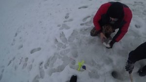 Мини выезд на форель