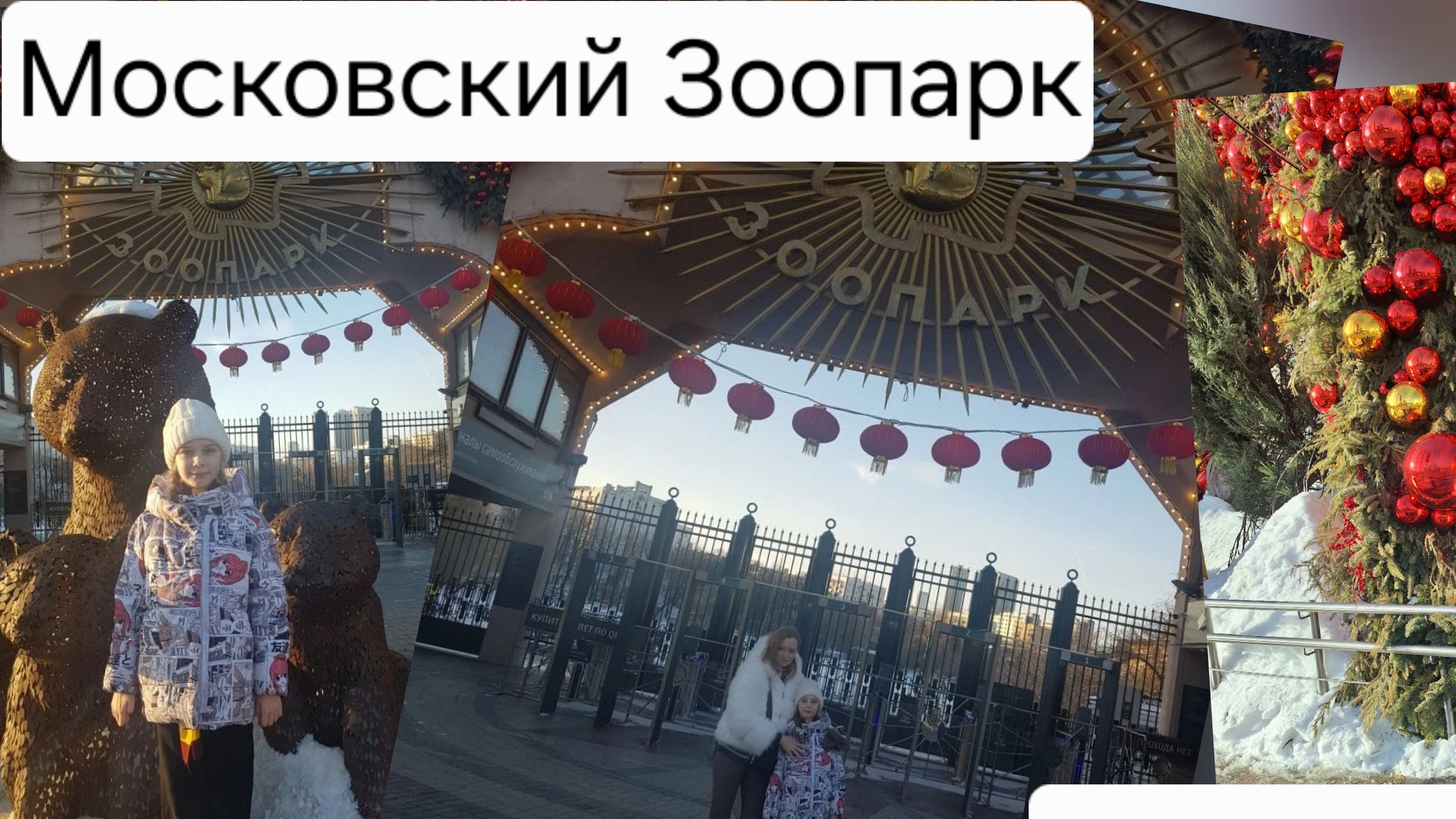 23.02.26 Поход в зимний Зоопарк