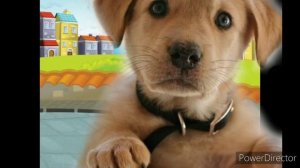 про щенка мальку.