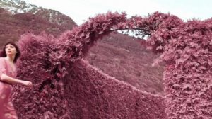 Julie Barraud - Krama