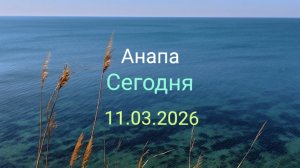 Анапа Сегодня 11.03.2026