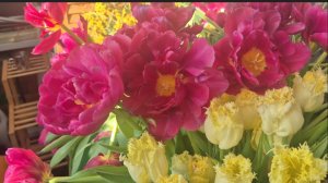 НАЧАЛОСЬ В КОЛХОЗЕ УТРО 🌄 ТЕСТИРУЕМ ПОДАРОК