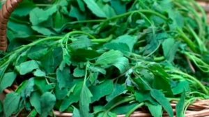 Индия какую вы не видели/ВОТ ТАК ВЕРИТЬ ЛЮДЯМ. ОБЕЩАЛИ МЕНЯ НЕ ТРОГАТЬ. ВО ЧТО ОНИ МЕНЯ ПРЕВРАТИЛИ.