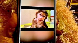 Так МИЛО! Люся ложится спать и слушает КОЛЫБЕЛЬНУЮ для ГАМАДРИЛЯТ!!!