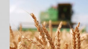 Патрушев обсудил на совещании меры поддержки сельского хозяйства