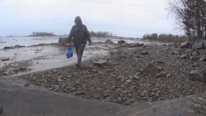 Проверяю сеть! Есть Сиги! Трясу сеть без лодки!