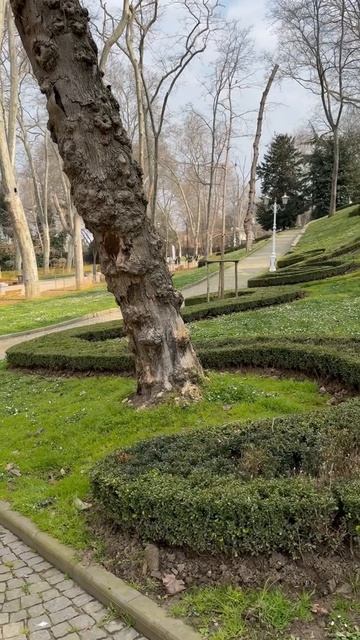 Живая изгородь как украшение склона в парке Гюльхане Gülhane Parki Gulhane Park Стамбул 