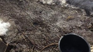 Земля зовёт!