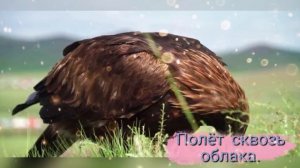 Полёт сквозь облака.