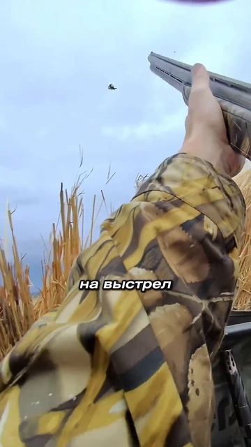 Что такое подсадная утка и зачем она используется?