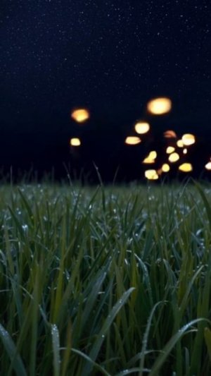 #залипательнийконтент #вирусныевидео #позитивныеэмоции #вдохновение #незабываемыеприключения