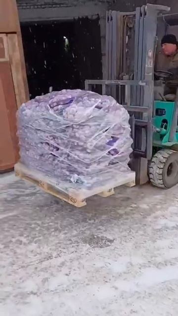 КФХ КУВАЙЦЕВ: Отгрузка чеснока