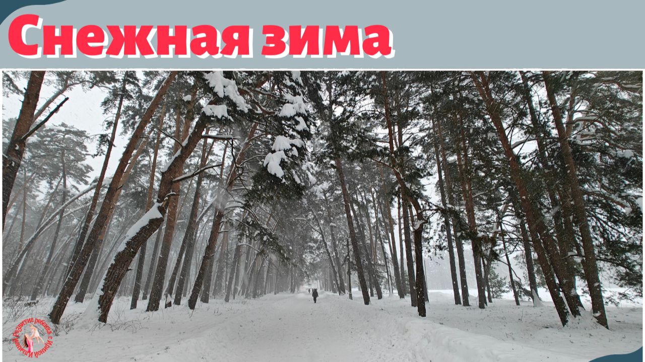 Снежная зима