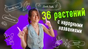 МАГИЯ РАСТЕНИЙ: 36 народных прозвищ и легенды, которые их окружают