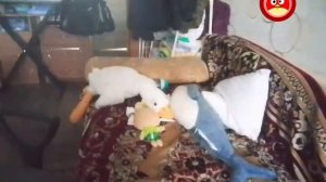 Эфир МультиРед #3