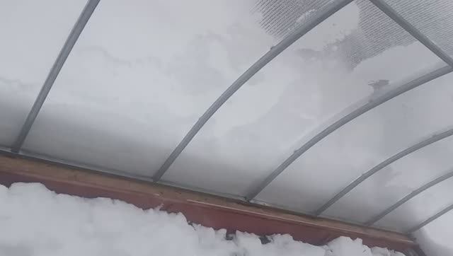 Март у нас снежный, теплом не балует. Закрыла теплицы.