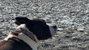 ДУХВМАТ. Выпуск 8