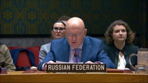 Выступление В.А.Небензи по порядку ведения заседания СБ ООН по работе «Комитета СБ 1737»