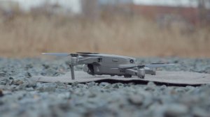 ЛЕС ПОД ПРИСМОТРОМ