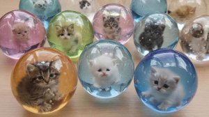 Милые котики | ИИ | развлекательное видео | асмр