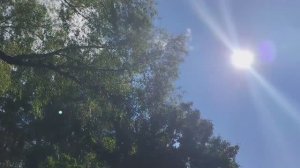 3 минуты солнечного света могут изменить ваше настроение! ✨ #мир_прекрасен #прощай_стресс