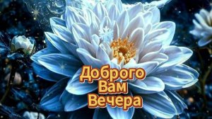 Доброго вам вечера позитивного яркого вечера 🌆✨