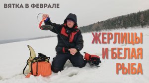 Рыбалка на Вятке. Жерлицы и белая рыба.