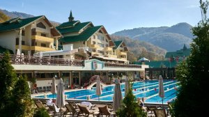 Общий ролик