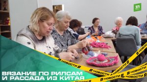 Вязание по рилсам и рассада из Китая. Челябинских пенсионеров обучают цифровой грамотности