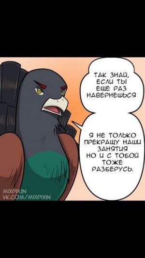 Кошачье королевство